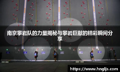 球速体育