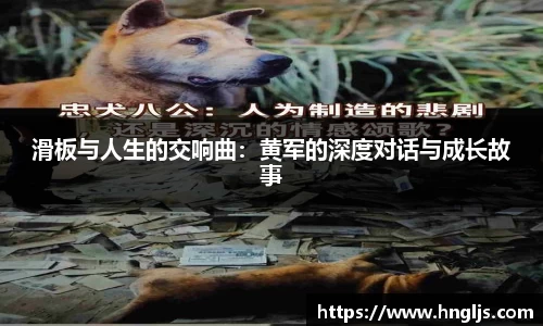 球速体育