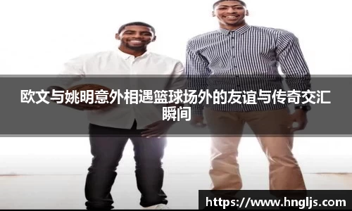 球速体育平台登录入口
