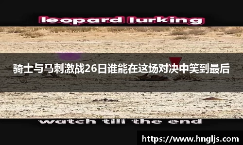 球速体育平台登录入口